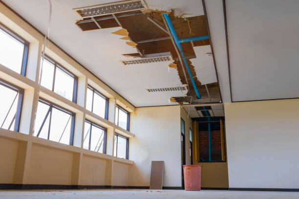 Best 24/7 water damage repair  in Hollister, CA