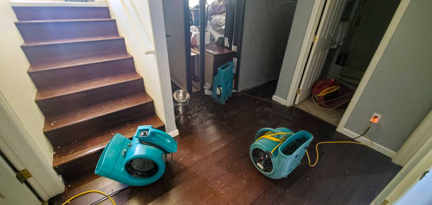 Best Mold removal after water damage  in Hollister, CA