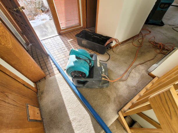 Best Water damage contractors near me  in Hollister, CA