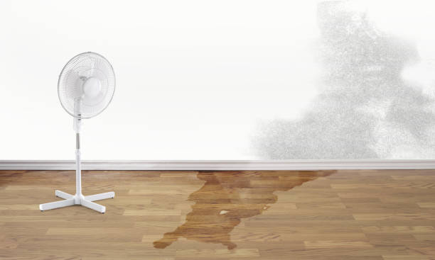 Best Basement water damage restoration  in Hollister, CA