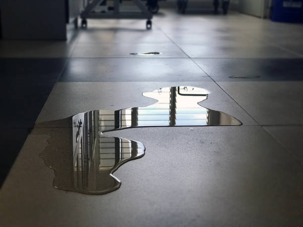 Best Local water damage restoration  in Hollister, CA