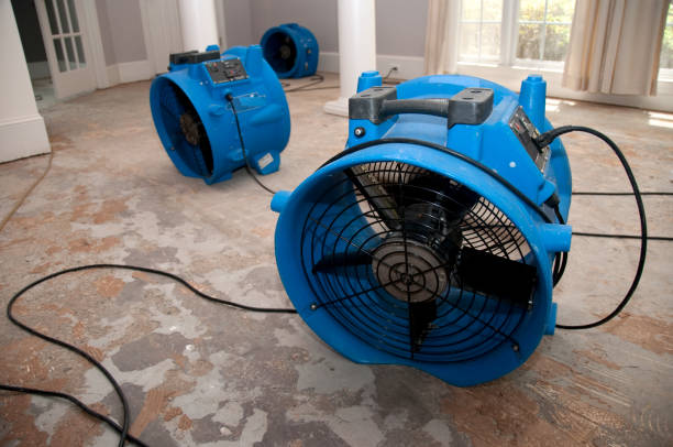 Best Sewage cleanup and water damage restoration  in Hollister, CA