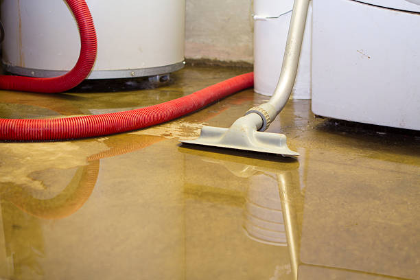 Best Flooded house restoration  in Hollister, CA